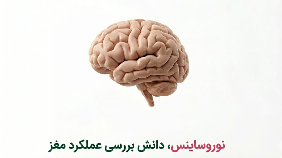 نوروساینس، دانش بررسی عملکر مغز