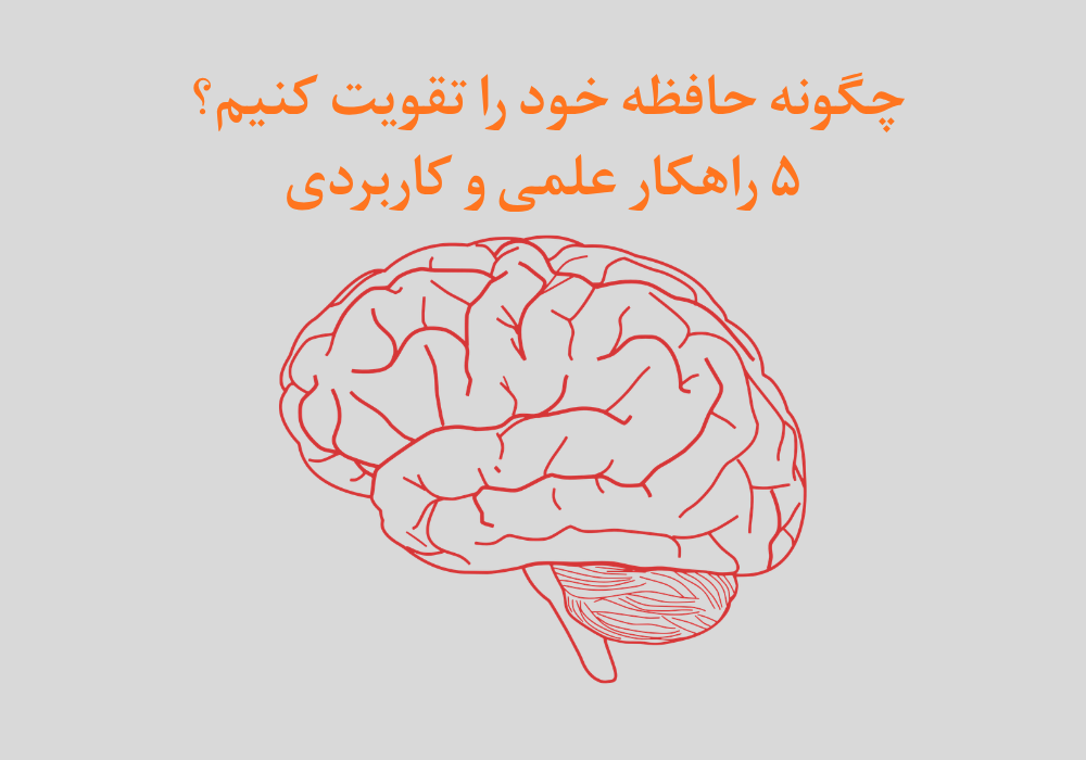 «مفهوم تقویت حافظه و عملکرد مغز»